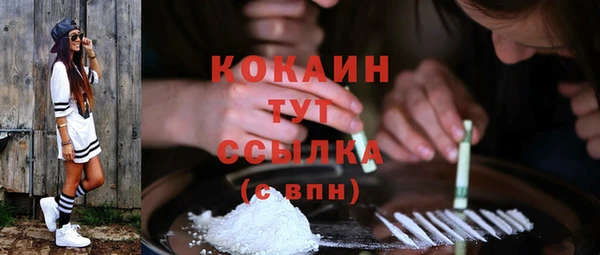дживик Верея