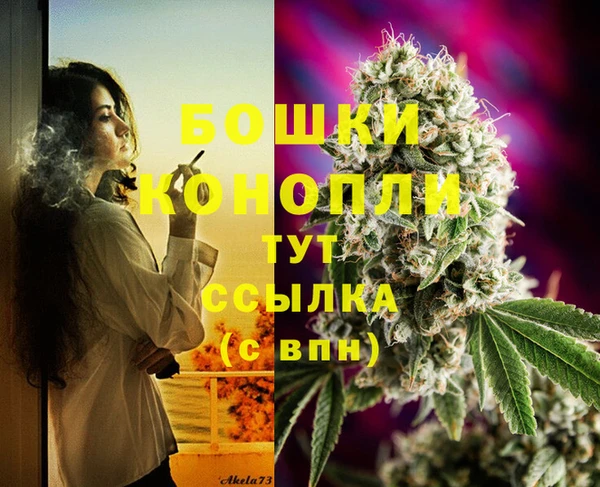 PSILOCYBIN Верхний Тагил