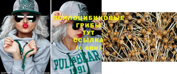 PSILOCYBIN Верхний Тагил