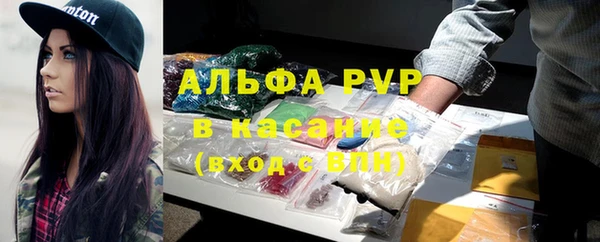 PSILOCYBIN Верхний Тагил