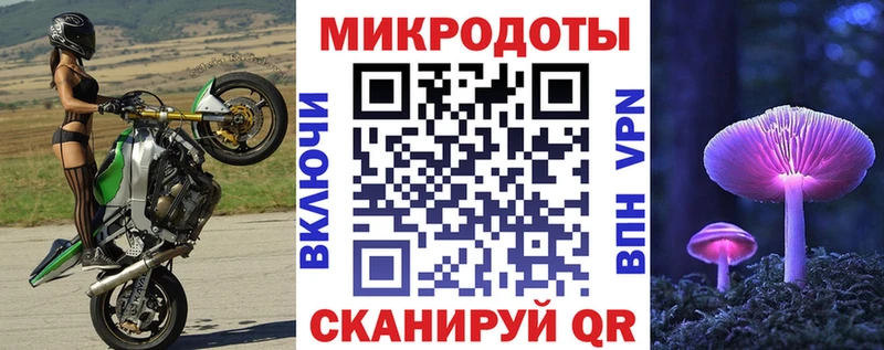 Псилоцибиновые грибы прущие грибы  Евпатория 